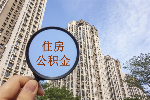 东阳帮取离职公积金（帮忙取公积金怎么收费）